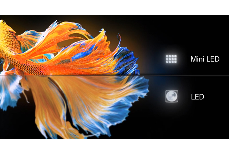 Image d’une queue de poisson. La moitié inférieure de la LED est peu claire et terne. La moitié supérieure du Mini LED est plus nette et plus colorée (lire la vidéo).